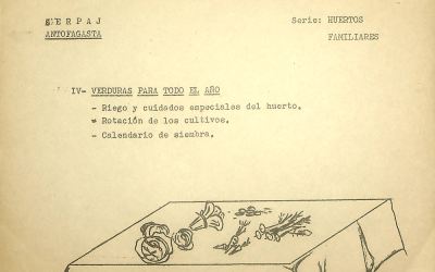 Instructivo comunitario «IV. Verduras para todo el año. Serie: Huertos Familiares»