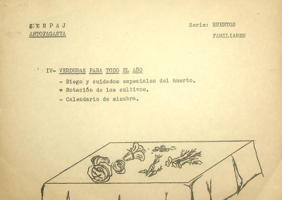 Instructivo comunitario «IV. Verduras para todo el año. Serie: Huertos Familiares»