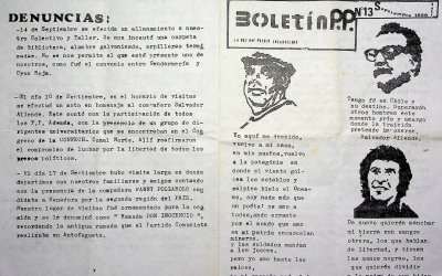 Boletín P.P Nº13
