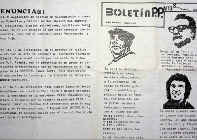 Boletín P.P Nº13